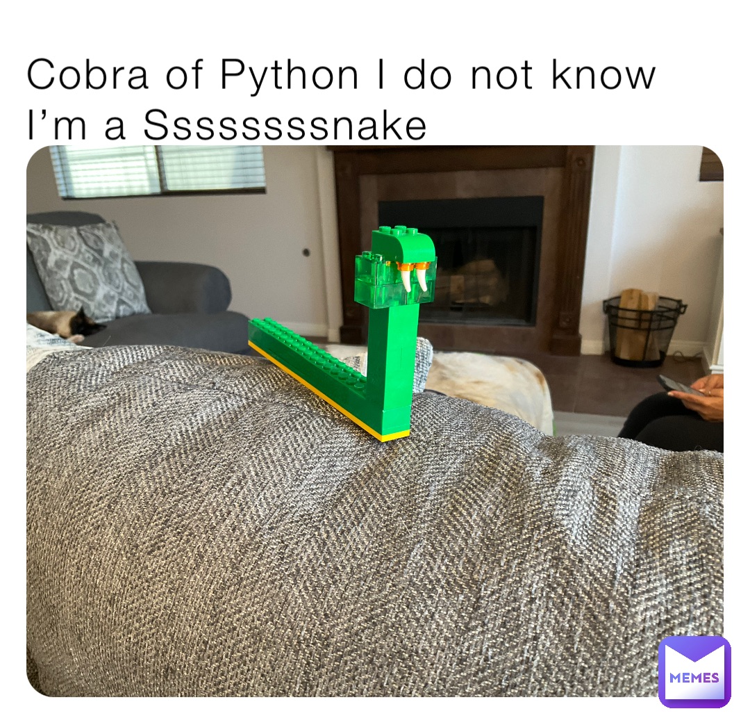 Cobra of Python I do not know I’m a Ssssssssnake
