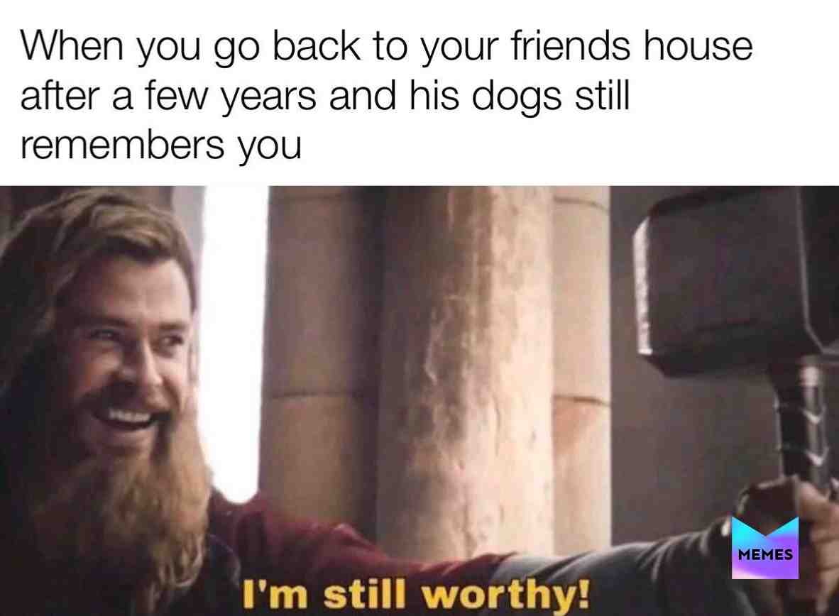 #memes #avengersendgame #hulk #thor