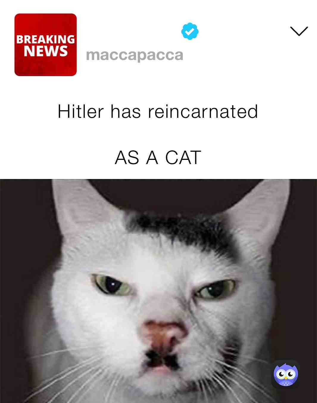 #funny #fyp #foryoupage #feature #blowthisup #comedy #hitler #breakingnews