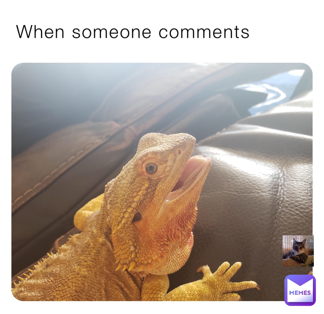 When someone comments