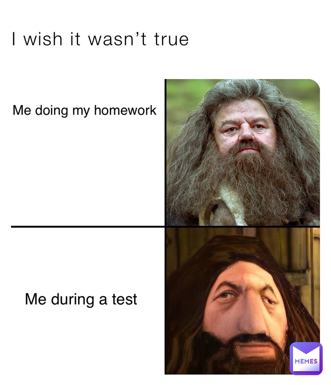 I wish it wasn’t true Me doing my homework Me during a test