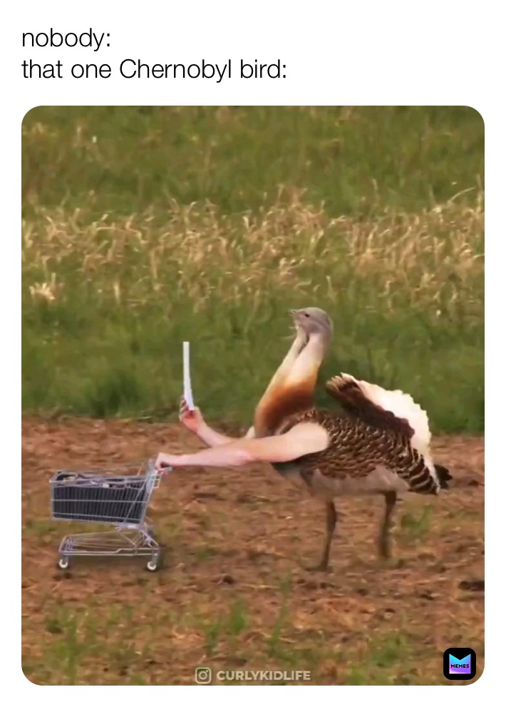 Meme by eat_thememes