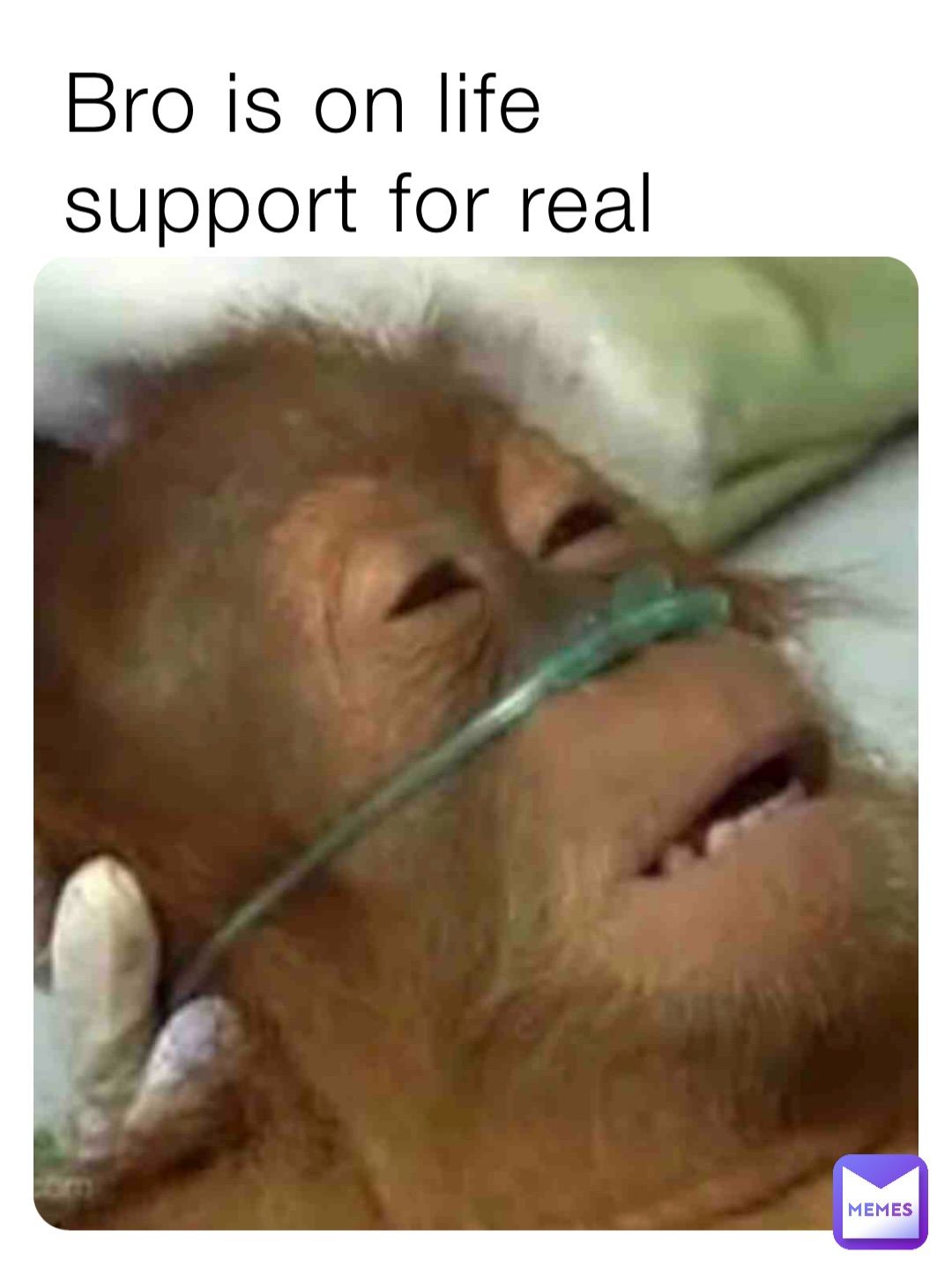Bro is on life support for real