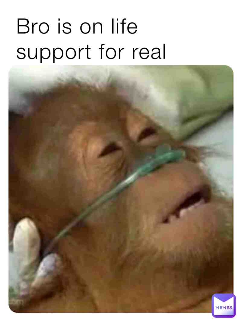 Meme preview
