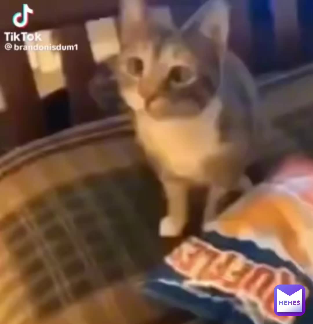 Meme preview