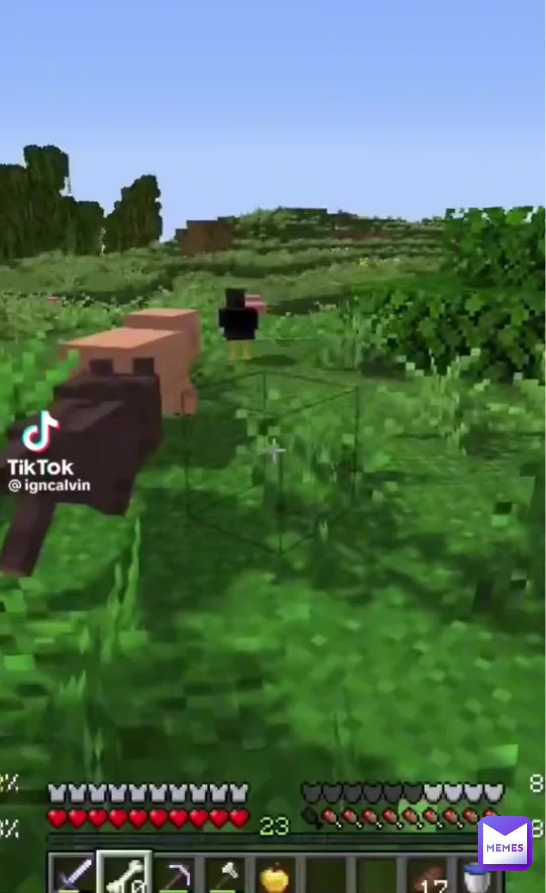 Meme preview