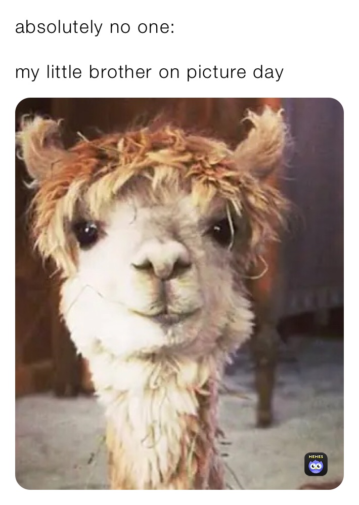 absolutely no one:

my little brother on picture day