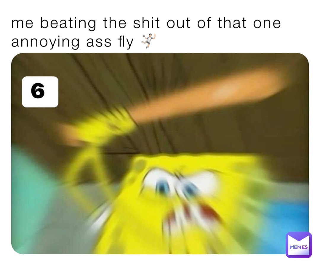 me beating the shit out of that one annoying ass fly 🤾🏻