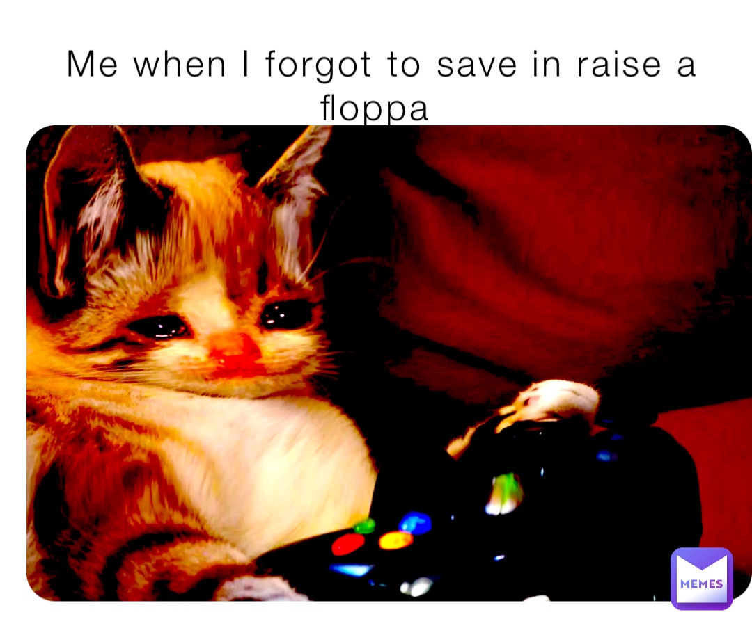 Me when I forgot to save in raise a floppa