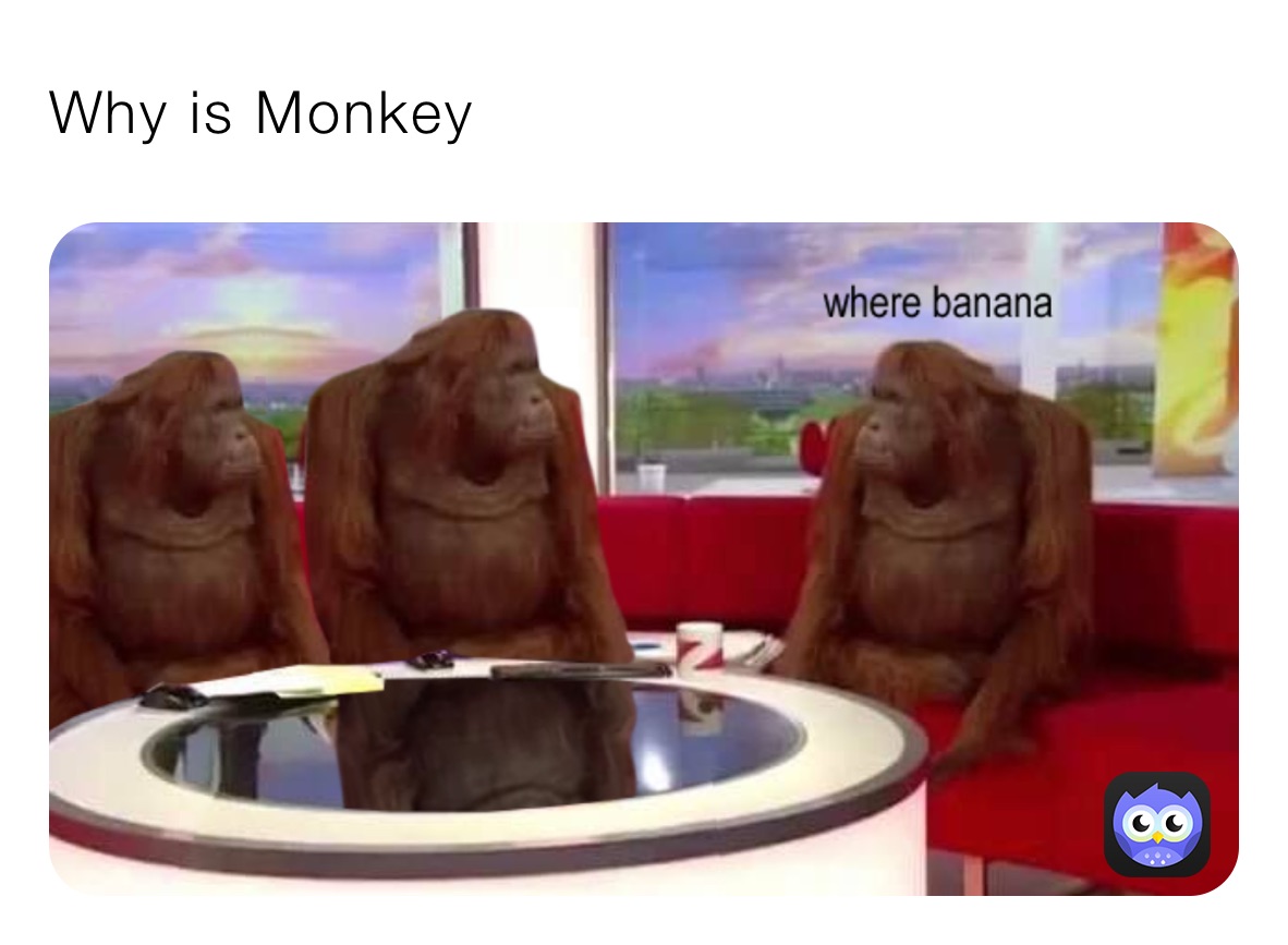 Why is Monkey