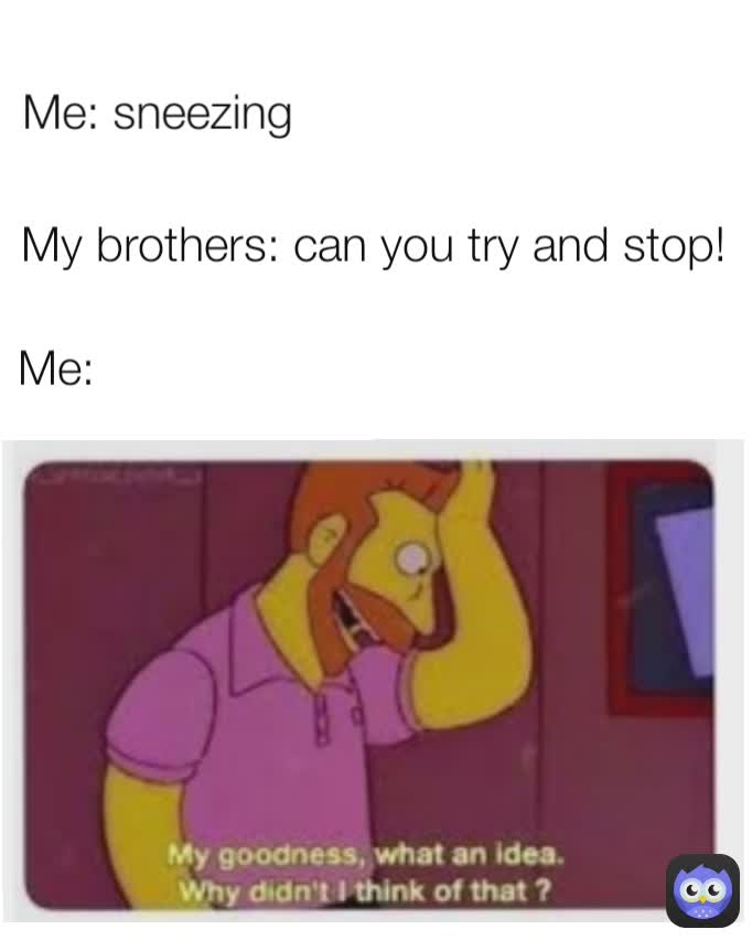 My brothers: can you try and stop!  Me: sneezing  Me:
