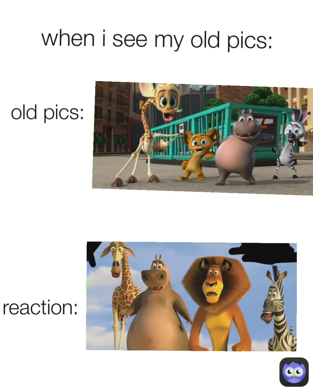 old pics: when i see my old pics: reaction: