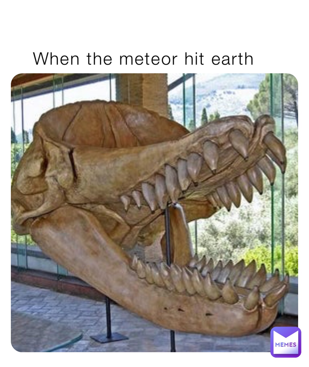 When the meteor hit earth