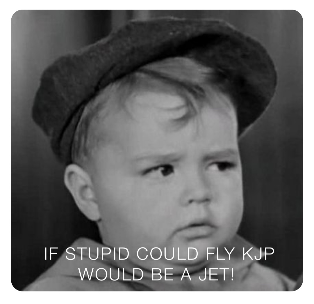 IF STUPID COULD FLY KJP WOULD BE A JET!