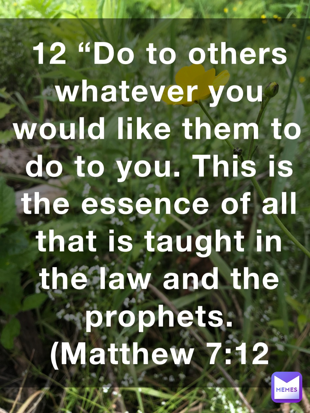 12 “Do to others whatever you would like them to do to you. This is the essence of all that is taught in the law and the prophets. (‭‭‭Matthew‬ ‭7‬‬:‭12‬ ‭NLT‬‬)