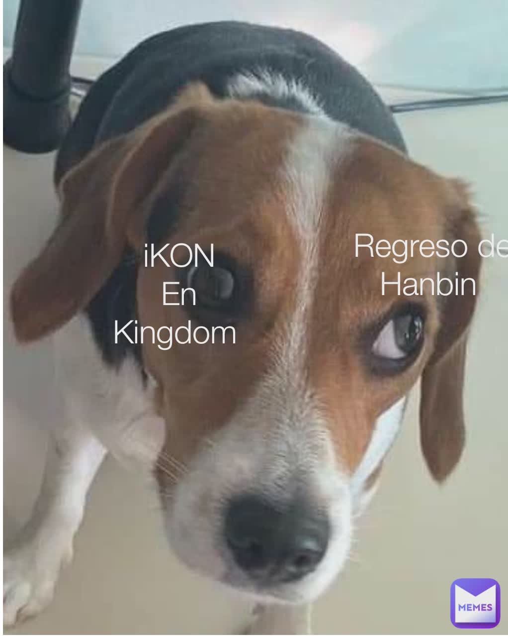 Type Text iKON
En
Kingdom  Regreso de Hanbin 