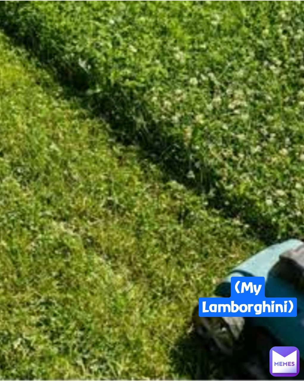 Meme by UglySquiggle