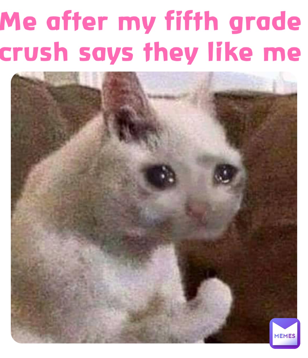 Me after my fifth grade crush says they like me