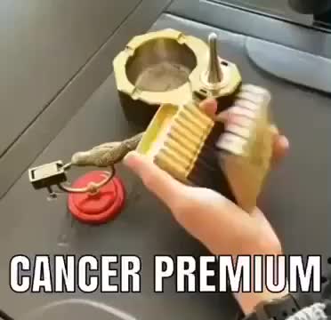 He smoking the premium shit 💨