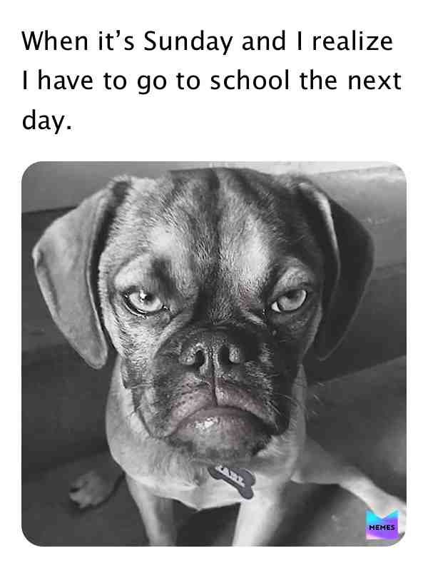 #relatablememe
