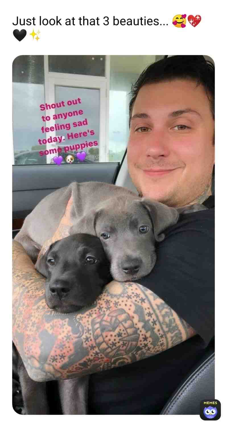 #frankiero