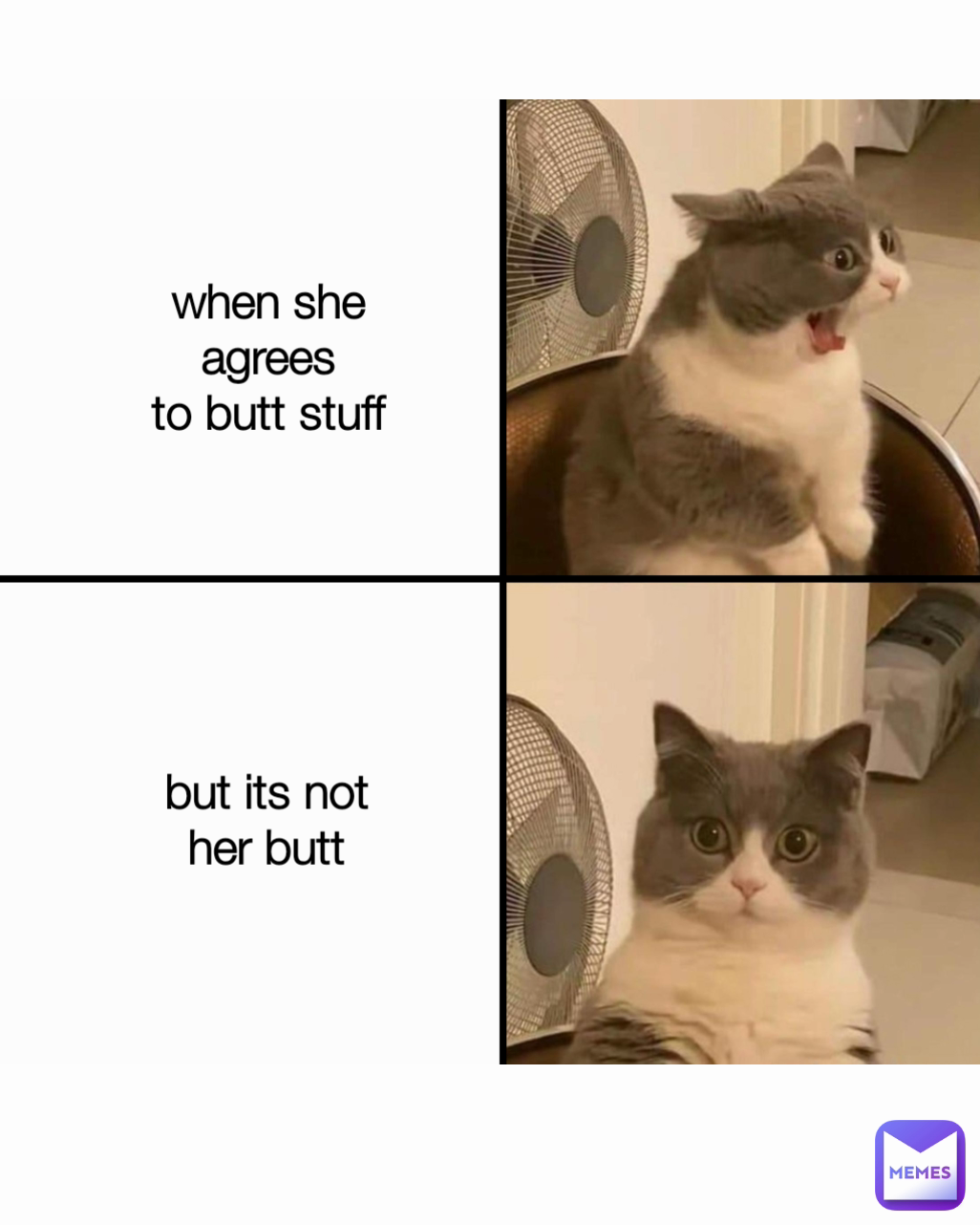 but its not
her butt when she agrees
to butt stuff