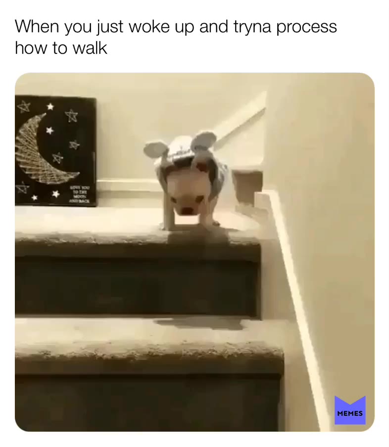 Meme shared by @Sambero_Skelly