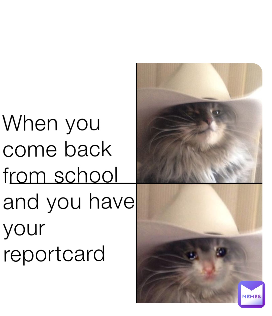 when-you-come-back-from-school-and-you-have-your-reportcard