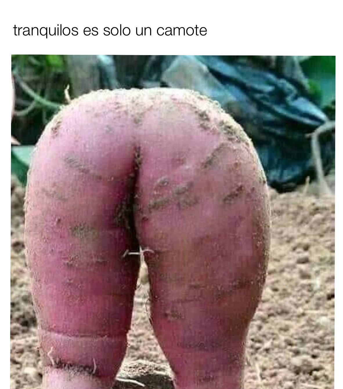 Meme by osbaldoflores