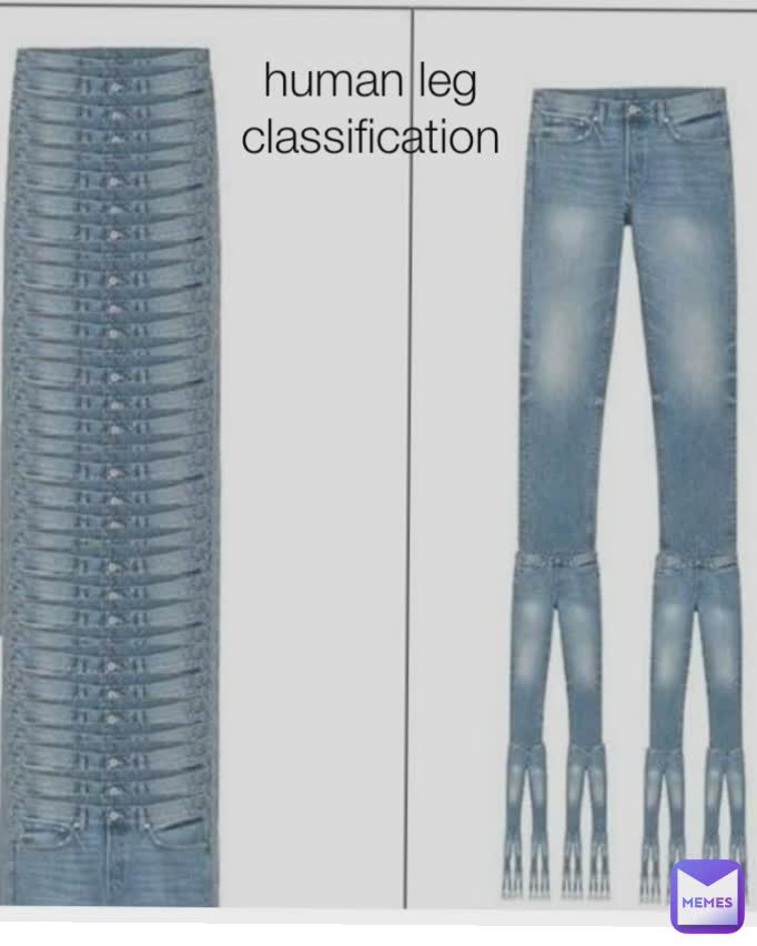 Type Text human leg classification