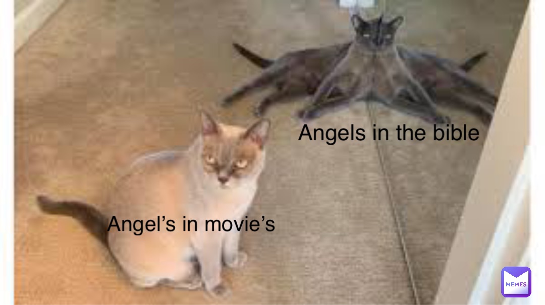 Angel’s in movie’s Angels in the bible