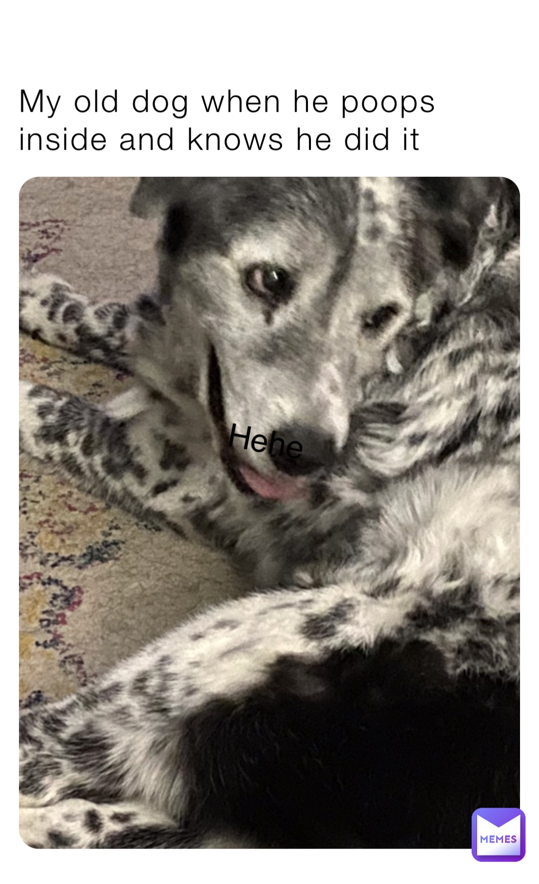 Meme by laynian-black