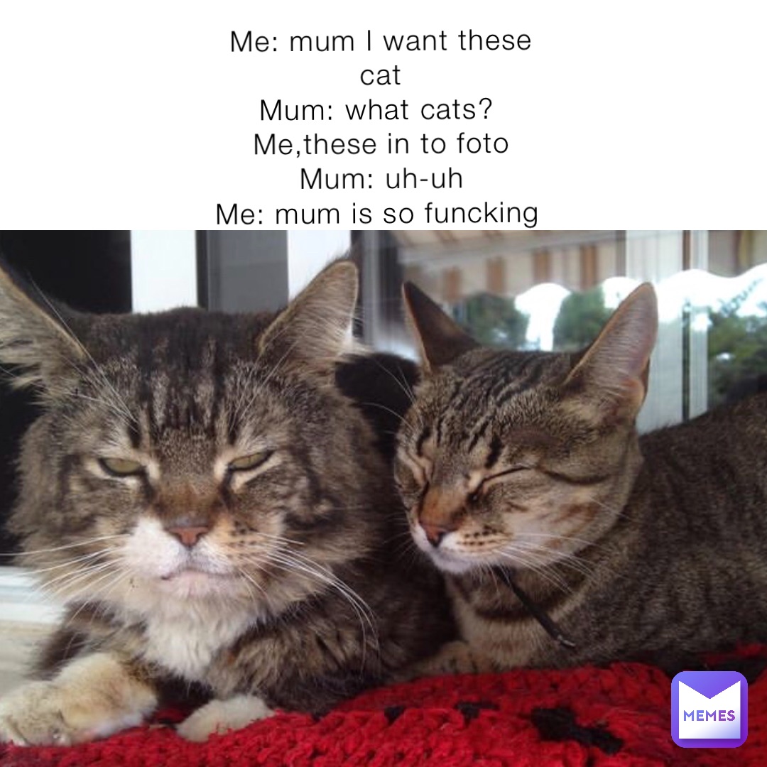 Meme by giulia_gabbianaWGF43