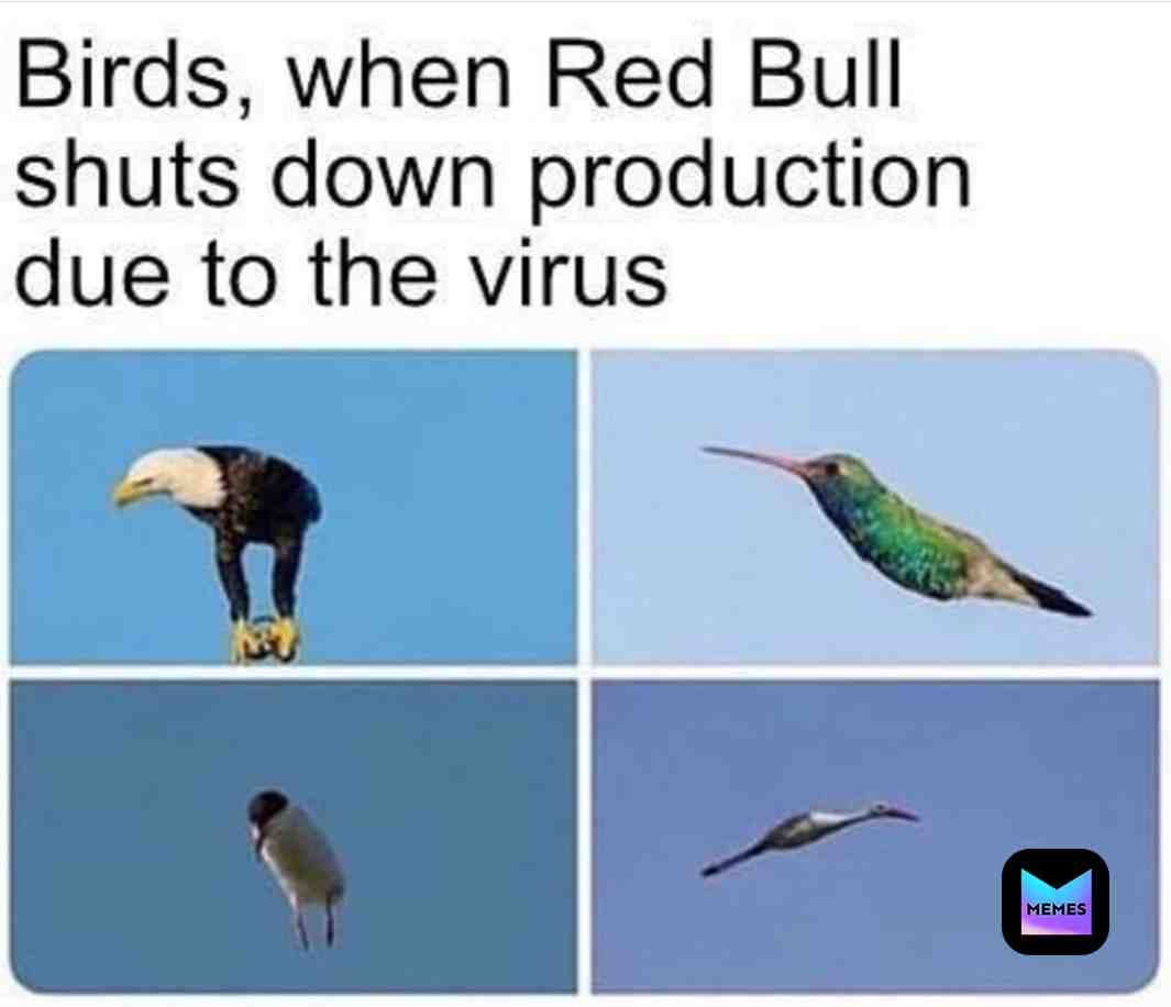 #memes #meme #funny #dankmemes #memesdaily #funnymemes #dank #follow #like #love #edgymemes #dailymemes #memestagram