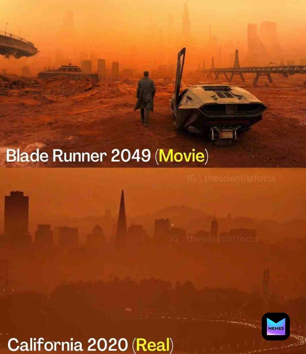 #memes #meme #memesdaily #like #love #memestagram #dailymemes #globalwarming #climatechange #savetheplanet #climatecrisis #green