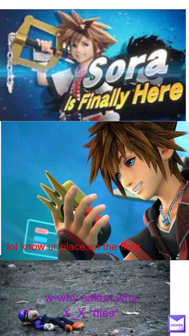 and this is where waluigi quits and dies may he rest in-hey wait that SORA!!!!!!!