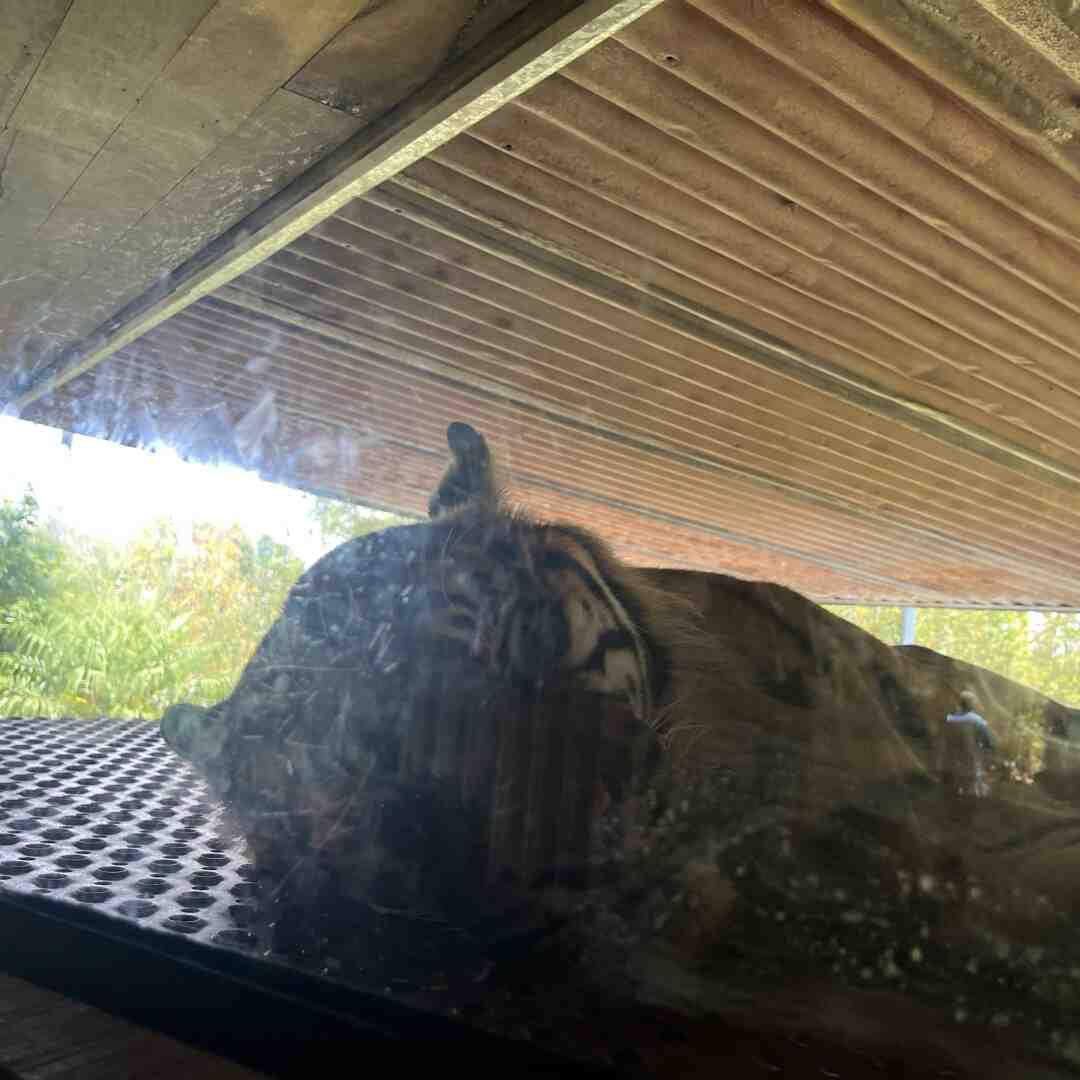 Zoo
