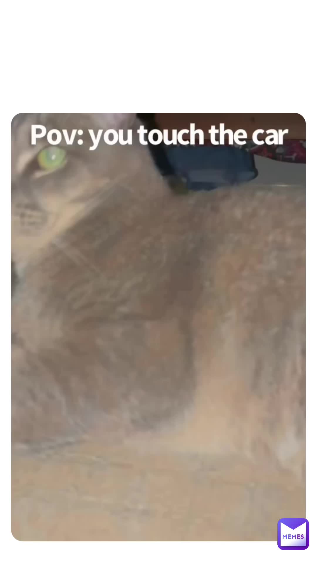 Meme preview