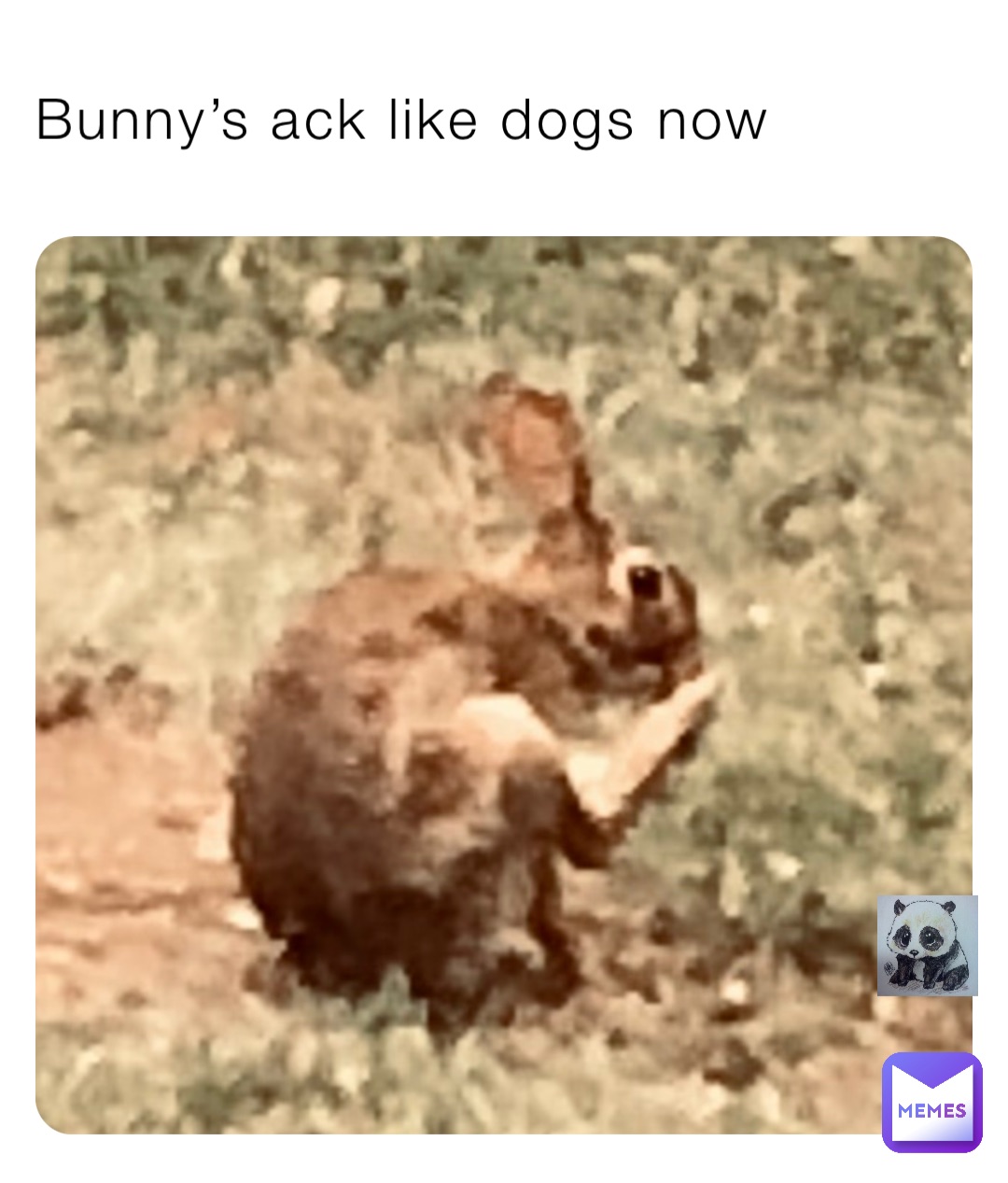 Meme by cookie_lover123