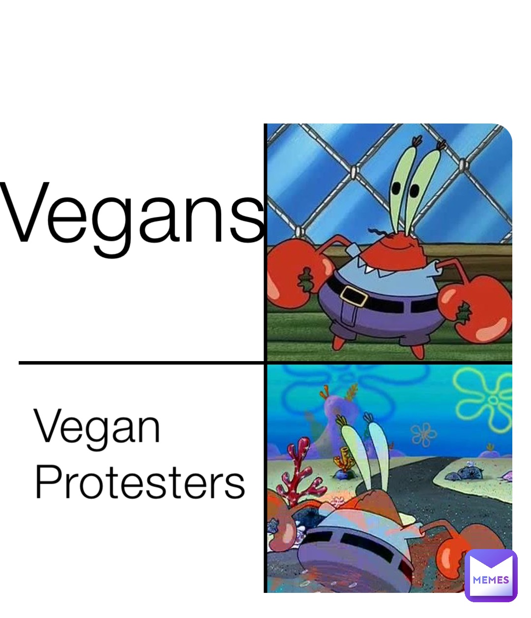 Vegan Protesters Vegans