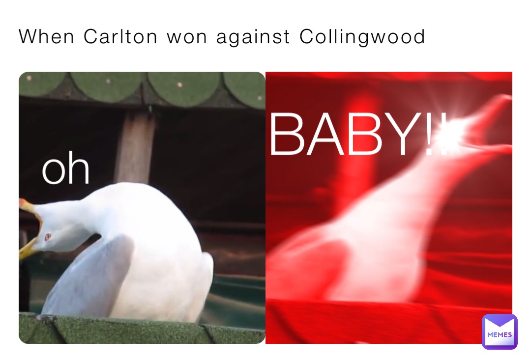 When Carlton won against Collingwood BABY!! oh