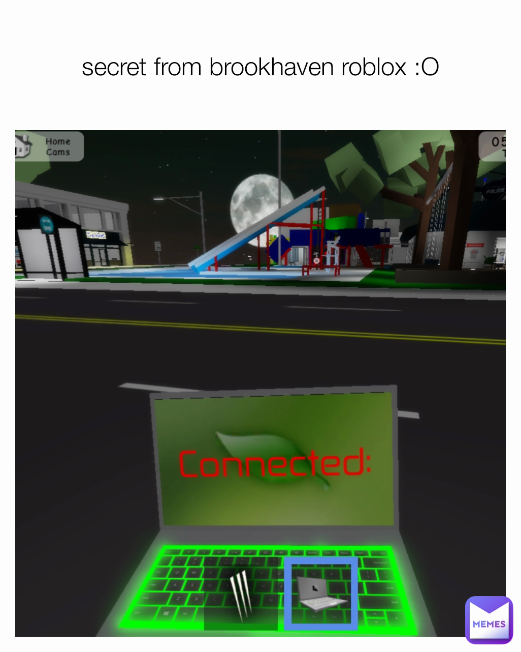 secret from brookhaven roblox :O