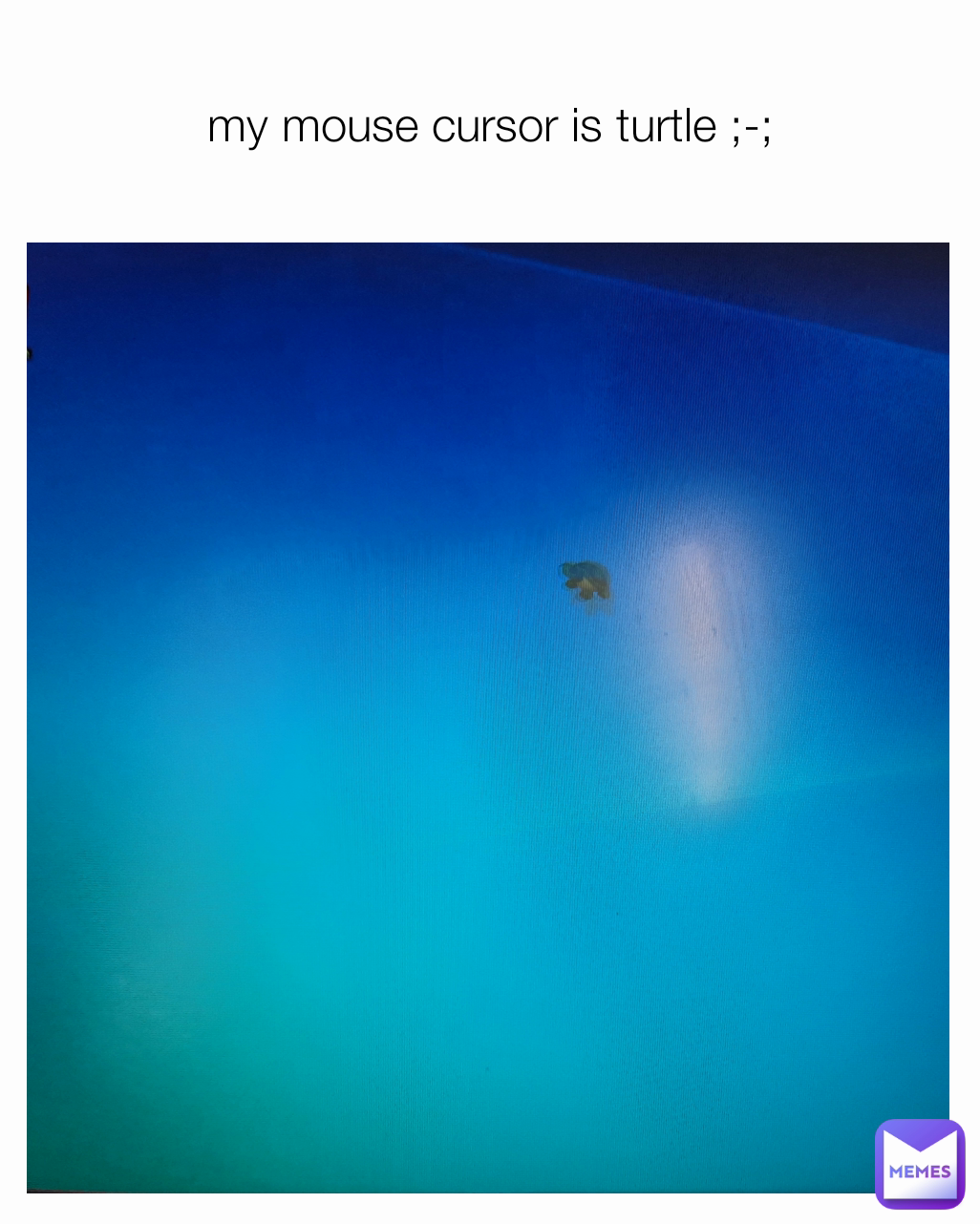 my mouse cursor is turtle ;-;