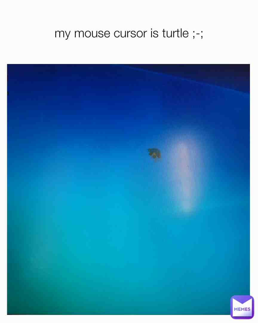 Turtoe