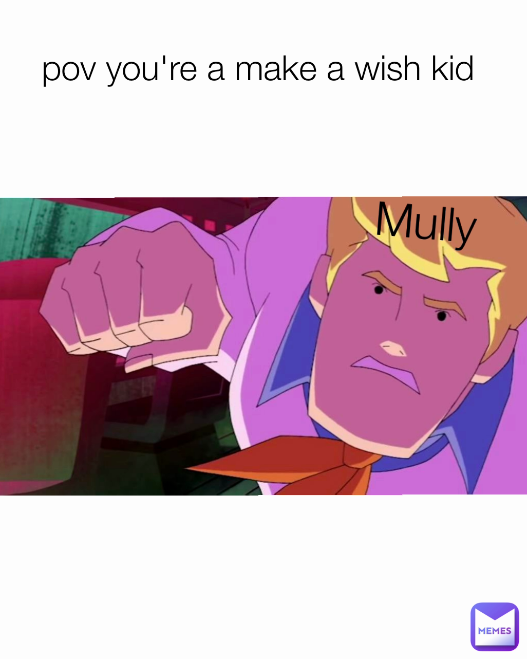pov you're a make a wish kid  Mully