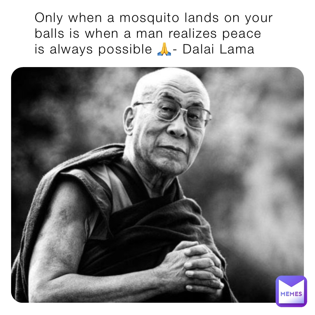 Only when a mosquito lands on your balls is when a man realizes peace is always possible 🙏- Dalai Lama
