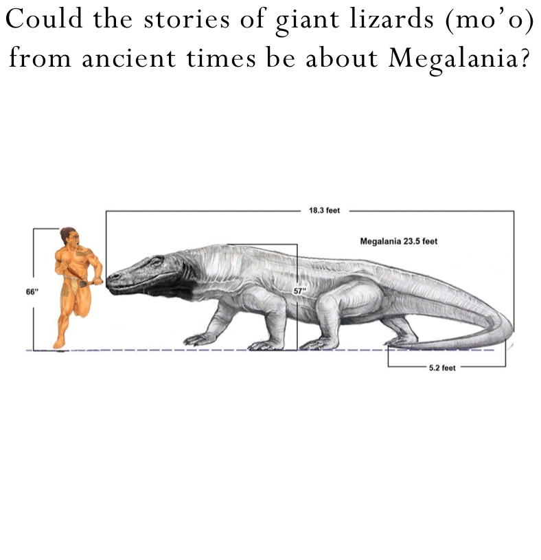Could the stories of giant lizards (mo’o) from ancient times be about Megalania?