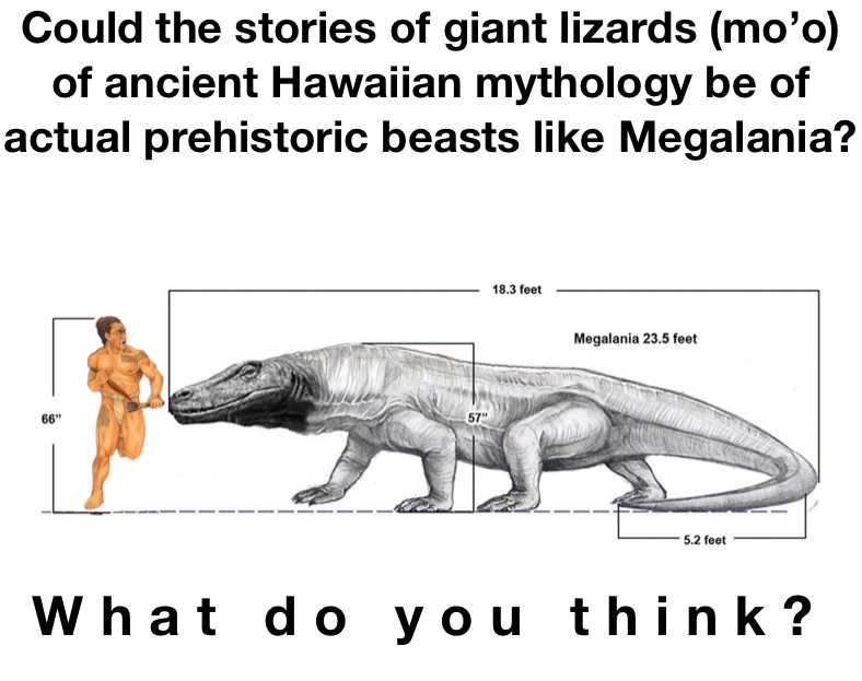 Could the stories of giant lizards (mo’o) of ancient Hawaiian mythology be of actual prehistoric beasts like Megalania? What do you think?