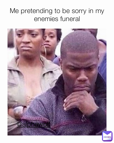 Me pretending to be sorry in my enemies funeral @alphawolf ...