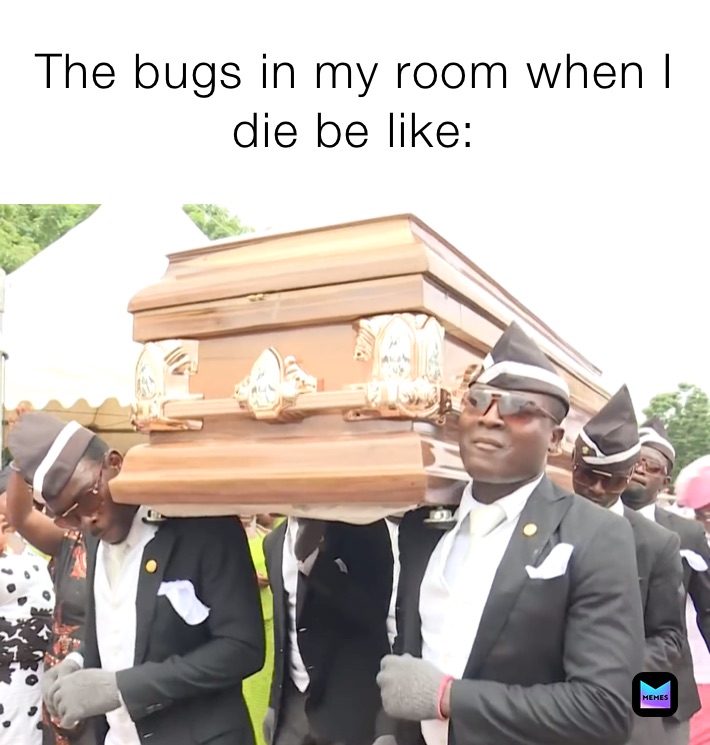 The bugs in my room when I die be like: